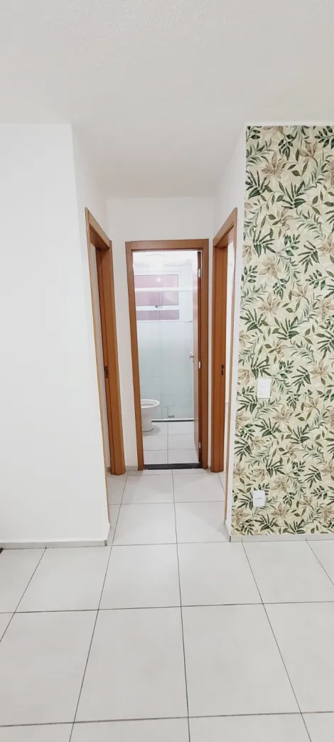 imagem 4 - Apartamento térreo no Jardim Embaré imagem 4 - Apartamento térreo no Jardim Embaré