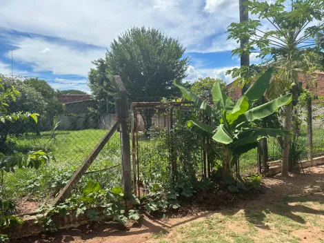 imagem 1 - Rural - Chácara imagem 1 - Rural - Chácara