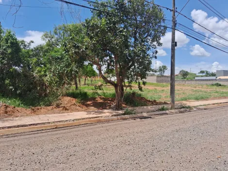 imagem 2 - Oportunidade imagem 2 - Oportunidade