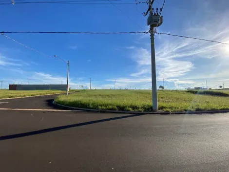 Alugar Terreno / Padrão em São Carlos. apenas R$ 176.000,00