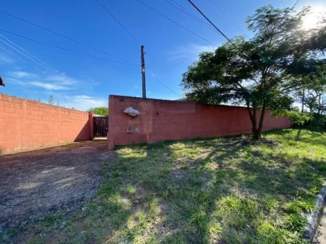 imagem 2 - Casa - Edícula imagem 2 - Casa - Edícula