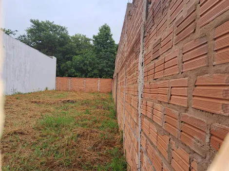 imagem 2 - Terreno murado imagem 2 - Terreno murado