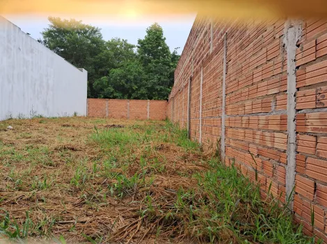 imagem 3 - Terreno murado imagem 3 - Terreno murado
