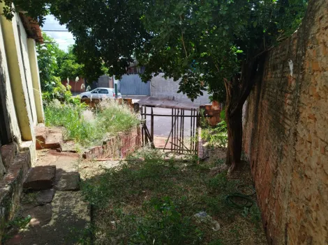 imagem 5 - Oportunidade imagem 5 - Oportunidade