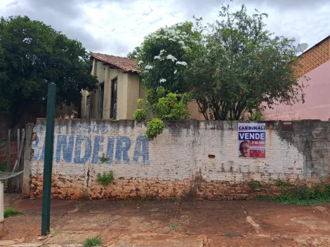 imagem 1 - Oportunidade imagem 1 - Oportunidade