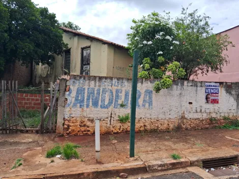 imagem 4 - Oportunidade imagem 4 - Oportunidade