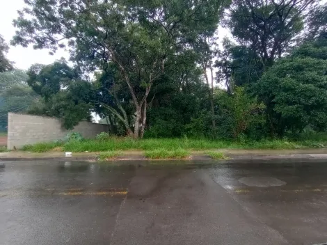 imagem 2 - Rural - Área imagem 2 - Rural - Área