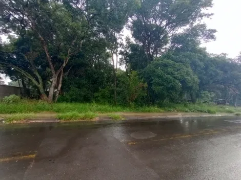 imagem 3 - Rural - Área imagem 3 - Rural - Área