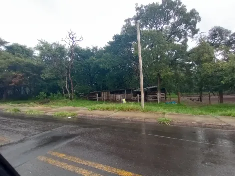 imagem 4 - Rural - Área imagem 4 - Rural - Área