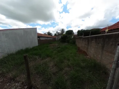imagem 3 - Terreno - Padrão imagem 3 - Terreno - Padrão