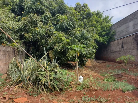 imagem 4 - Terreno - Padrão imagem 4 - Terreno - Padrão