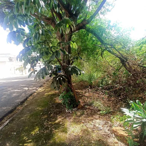 imagem 4 - Terreno - Padrão imagem 4 - Terreno - Padrão