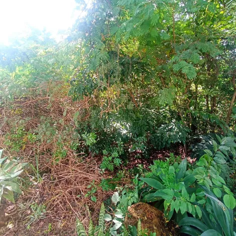 imagem 5 - Terreno - Padrão imagem 5 - Terreno - Padrão