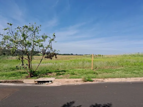 imagem 2 - Terreno - Padrão imagem 2 - Terreno - Padrão