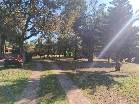 imagem 2 - Linda chácara imagem 2 - Linda chácara