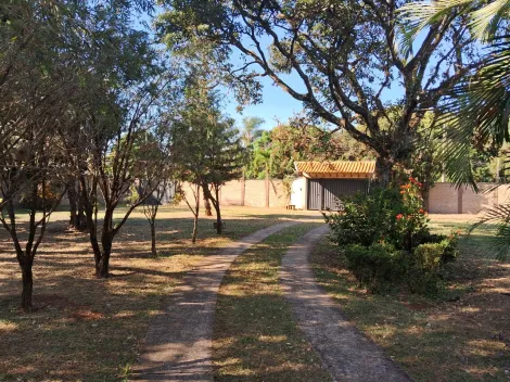 imagem 5 - Linda chácara imagem 5 - Linda chácara