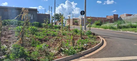 Alugar Terreno / Padrão em Araraquara. apenas R$ 123.000,00