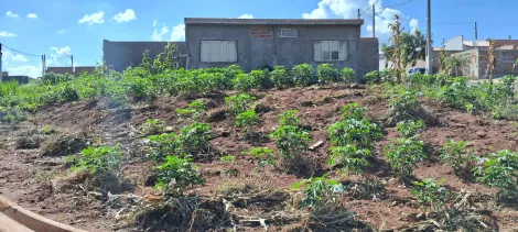 imagem 3 - Terreno - Padrão imagem 3 - Terreno - Padrão