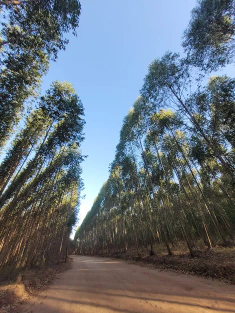 imagem 1 - Rural - Chácara imagem 1 - Rural - Chácara