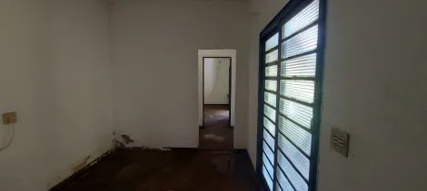 imagem 3 - Rural - Chácara imagem 3 - Rural - Chácara