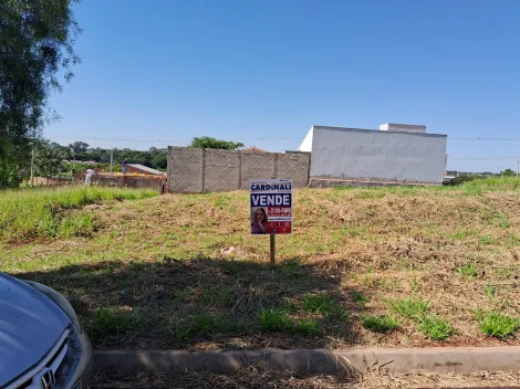 Terreno pronto para construir