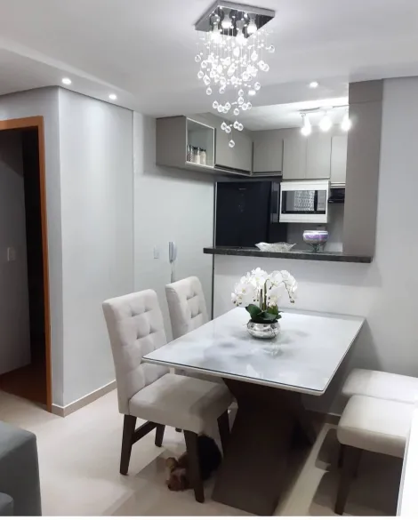 imagem 5 - Apartamento - Padrão imagem 5 - Apartamento - Padrão