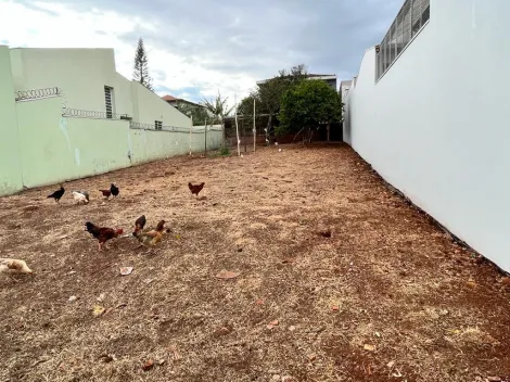 Alugar Terreno / Padrão em São Carlos. apenas R$ 350.000,00