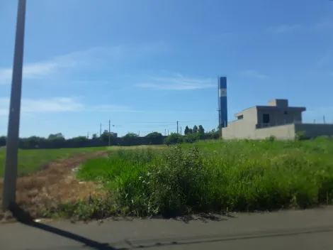 imagem 2 - Terreno de 299,20m² à Venda no Jequitibá: R$169.600,00 - Aceita Financiamento imagem 2 - Terreno de 299,20m² à Venda no Jequitibá: R$169.600,00 - Aceita Financiamento