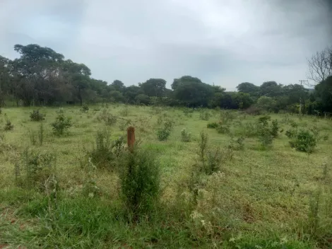 imagem 4 - Rural - Chácara imagem 4 - Rural - Chácara
