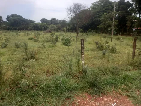 imagem 5 - Rural - Chácara imagem 5 - Rural - Chácara