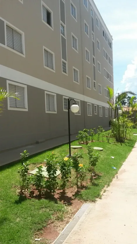imagem 3 - Apartamento - Padrão imagem 3 - Apartamento - Padrão