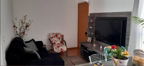 Alugar Apartamento / Padrão em São Carlos. apenas R$ 170.000,00