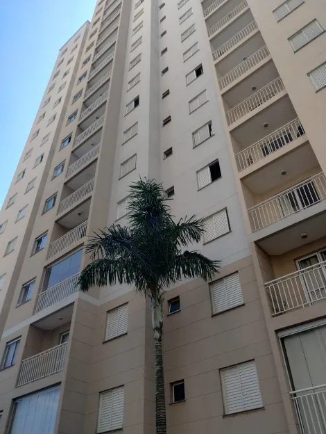 Alugar Apartamento / Padrão em Campinas. apenas R$ 505.000,00