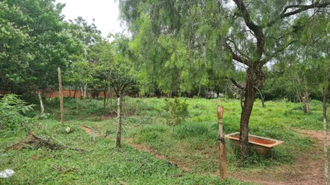 imagem 2 - Rural - Área imagem 2 - Rural - Área