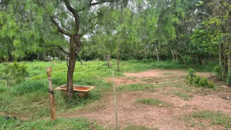 imagem 3 - Rural - Área imagem 3 - Rural - Área