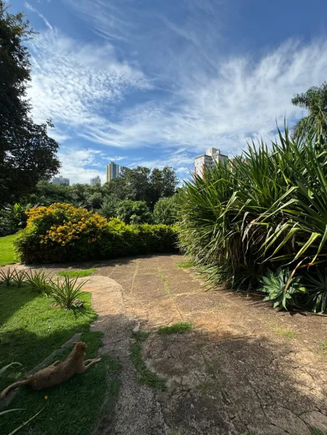 imagem 2 - terreno para BTS imagem 2 - terreno para BTS