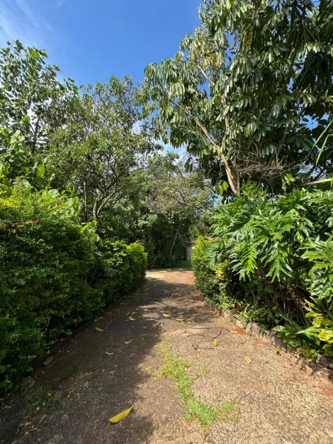 imagem 3 - terreno para BTS imagem 3 - terreno para BTS