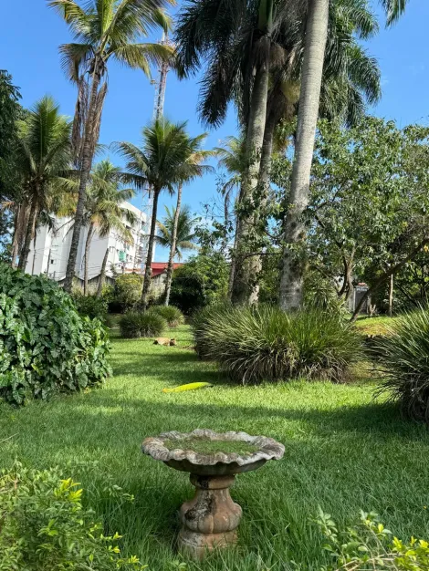 imagem 4 - terreno para BTS imagem 4 - terreno para BTS