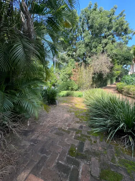 imagem 5 - terreno para BTS imagem 5 - terreno para BTS