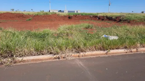 imagem 1 - Terreno - Padrão imagem 1 - Terreno - Padrão