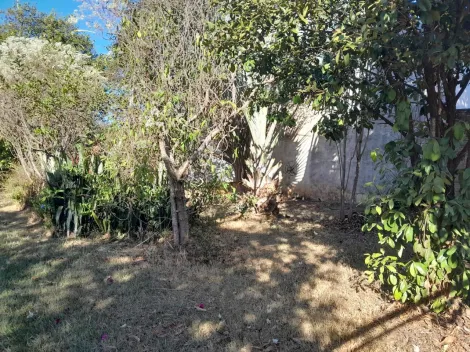imagem 5 - Chacara no Tutoya do Vale/São Carlos imagem 5 - Chacara no Tutoya do Vale/São Carlos