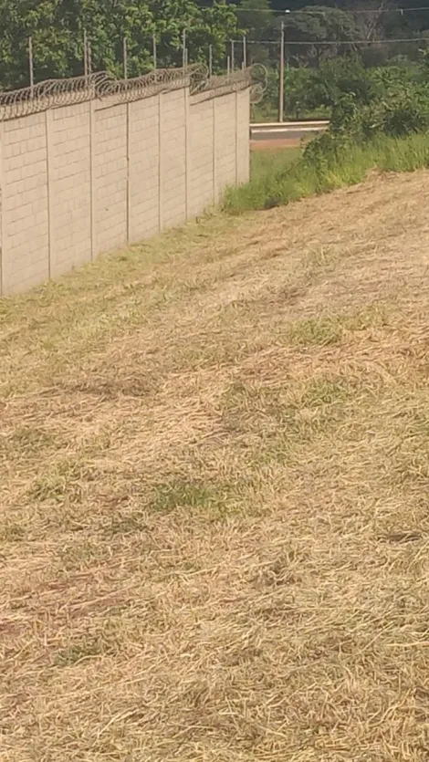 imagem 4 - Terreno - Comercial imagem 4 - Terreno - Comercial