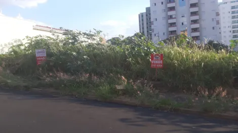 imagem 1 - Terreno - Padrão imagem 1 - Terreno - Padrão
