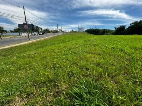 imagem 2 - Excelente oportunidade de terreno no Swiss Park, Campinas! imagem 2 - Excelente oportunidade de terreno no Swiss Park, Campinas!