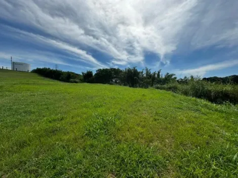 imagem 3 - Excelente oportunidade de terreno no Swiss Park, Campinas! imagem 3 - Excelente oportunidade de terreno no Swiss Park, Campinas!