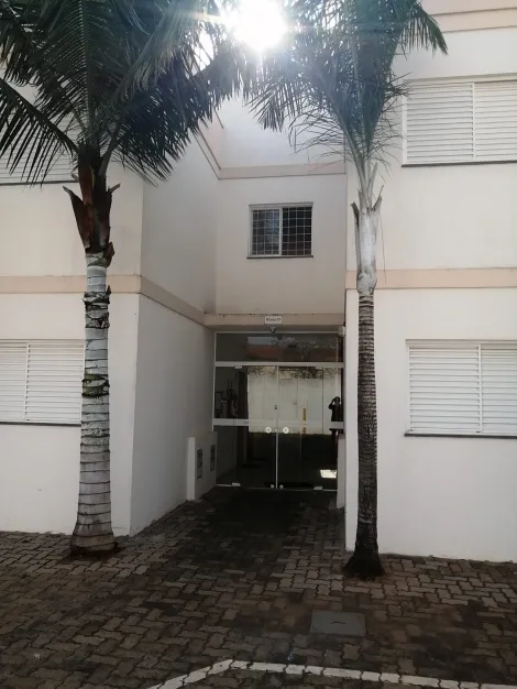 imagem 3 - Apartamento - Padrão imagem 3 - Apartamento - Padrão