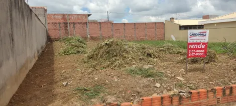 imagem 5 - Terreno - Padrão imagem 5 - Terreno - Padrão