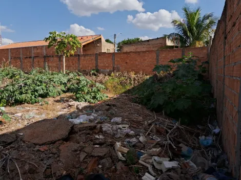 Terreno pronto para construir