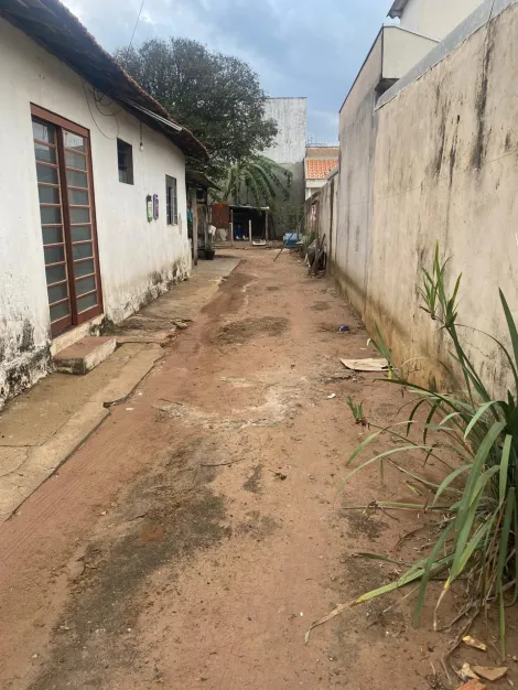 São Carlos - Jardim Cruzeiro do Sul - Casa - Padrão - Venda