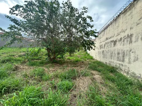 imagem 3 - Terreno - Padrão imagem 3 - Terreno - Padrão